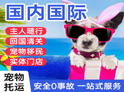 临沂航空托运国际宠物托运 【国